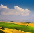 Italian summer countryside landscape Ã¢â¬â golden and green fields and blue sky Royalty Free Stock Photo